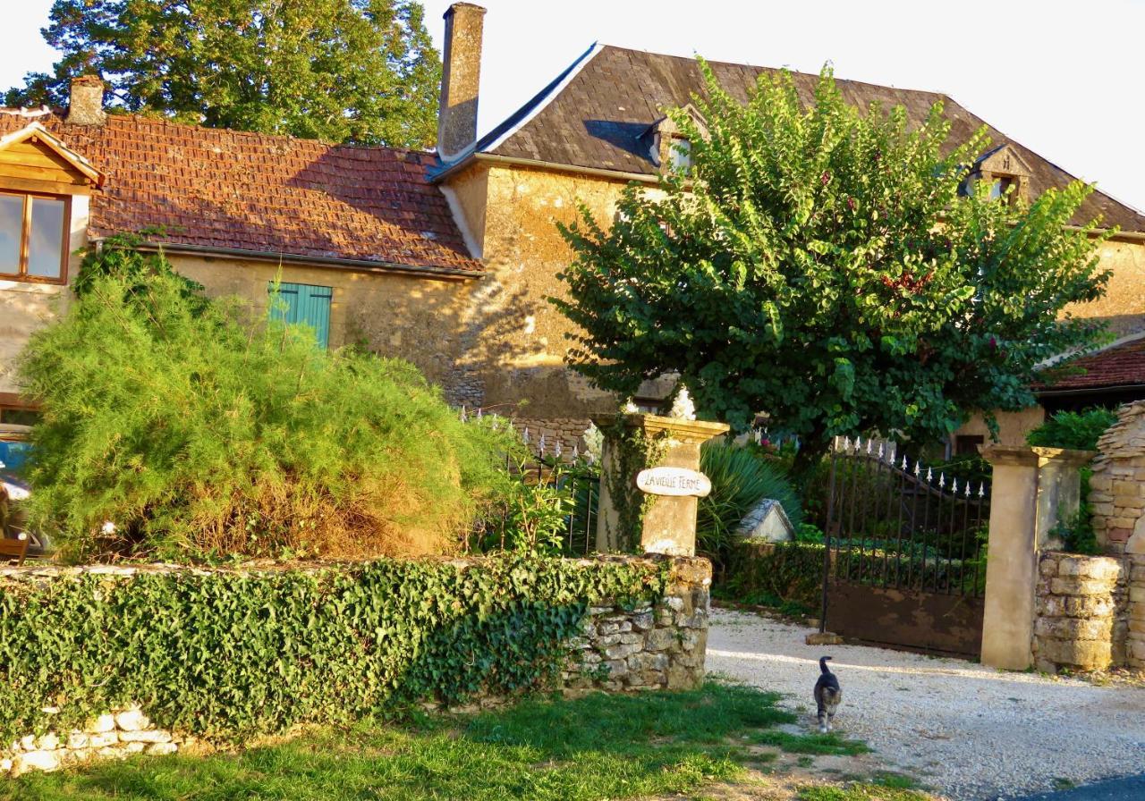 La Vieille Ferme: Superbe Complexe De 3 Gites En Pierre Avec Piscine Au Coeur Du Perigord Noir Saint-Genies Luaran gambar